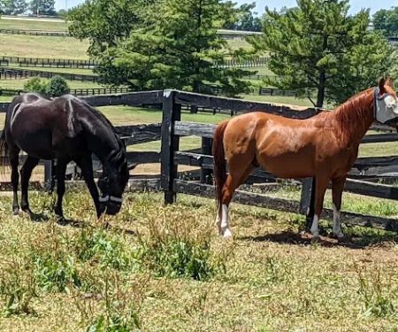 Deer Creek State Park Campground