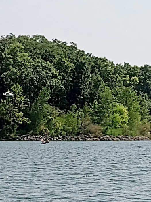 Deer Creek State Park Campground Picture 8