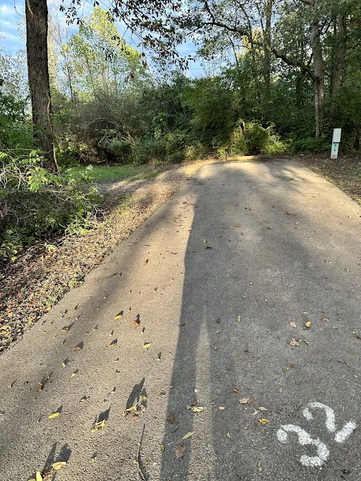 Campsite 32 (Electric Only) Picture 1