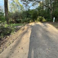 Campsite 32 (Electric Only) ico