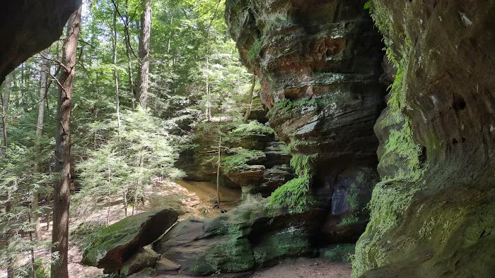 Camp Shroom Hocking Hills Picture 2
