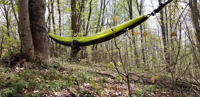 Camp Shroom Hocking Hills Picture 3