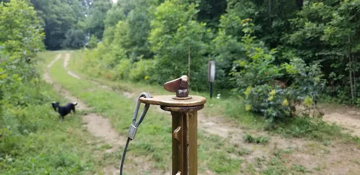 Camp Shroom Hocking Hills Picture 9