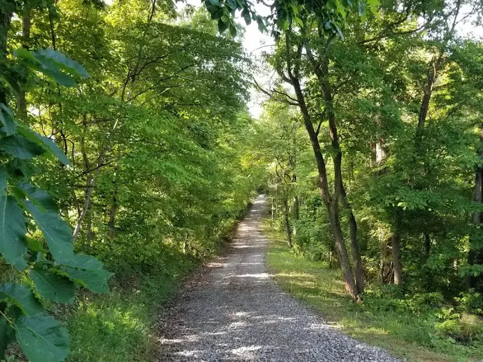 Camp Shroom Hocking Hills Picture 4