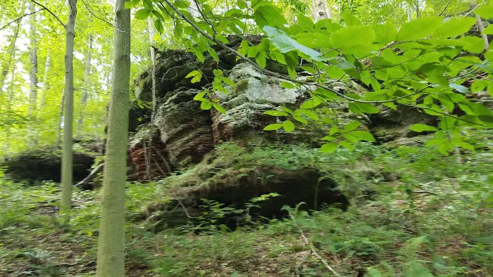 Hocking State Forest Horseman's Camp Picture 4