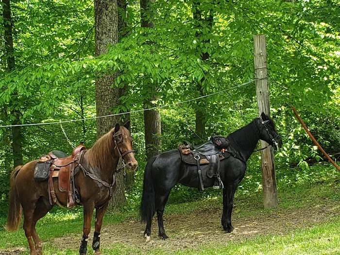 Hocking State Forest Horseman's Camp Picture 5