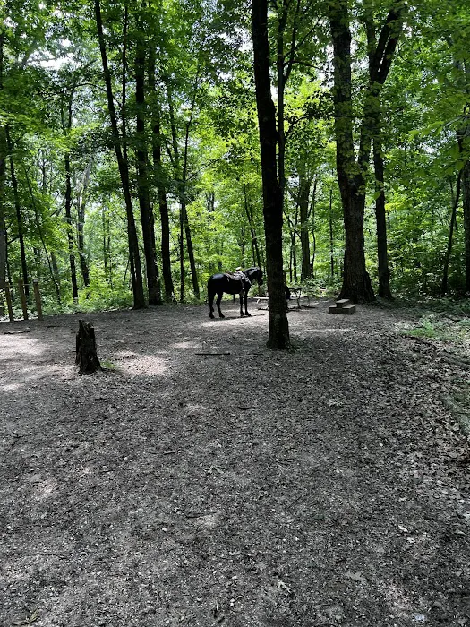 Hocking State Forest Horseman's Camp Picture 6