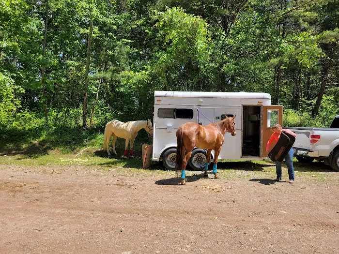 Hocking State Forest Horseman's Camp Picture 3
