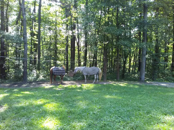 Hocking State Forest Horseman's Camp Picture 8