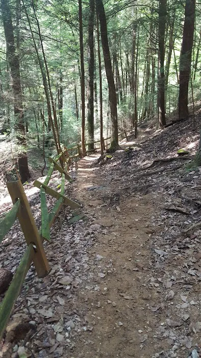 Hocking State Forest Horseman's Camp Picture 2