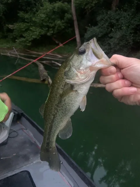 Rockwater Campground Picture 8