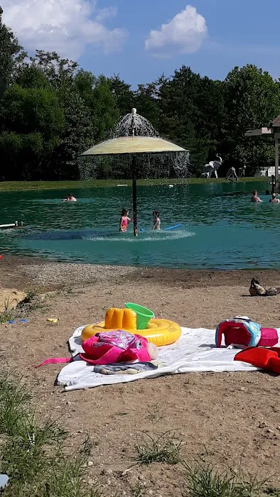 Shady Pines Campgrounds Picture 1