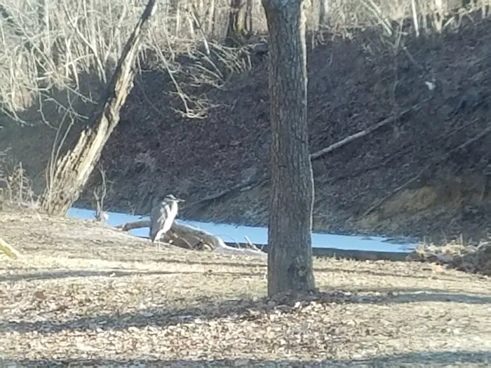 Lazy Village Campground & RV Park Picture 5