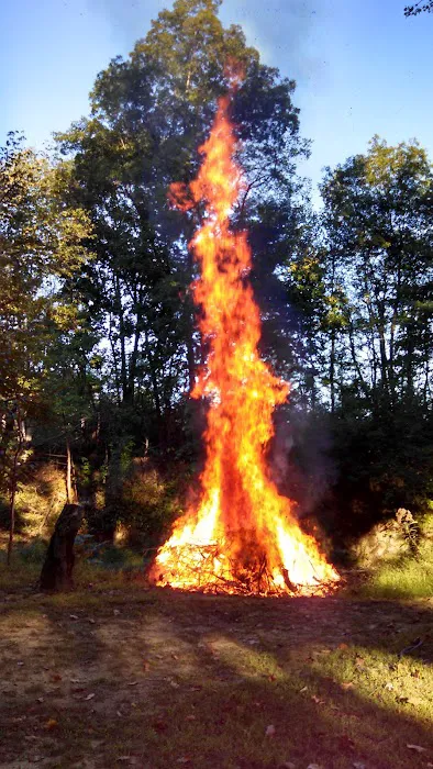 Lazy Village Campground & RV Park Picture 3