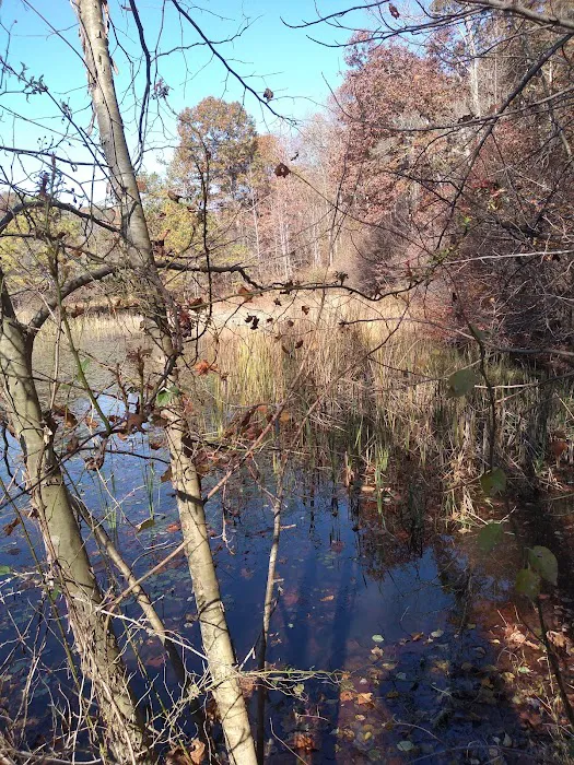 Shawnee Backpacking Camp 2 Picture 2