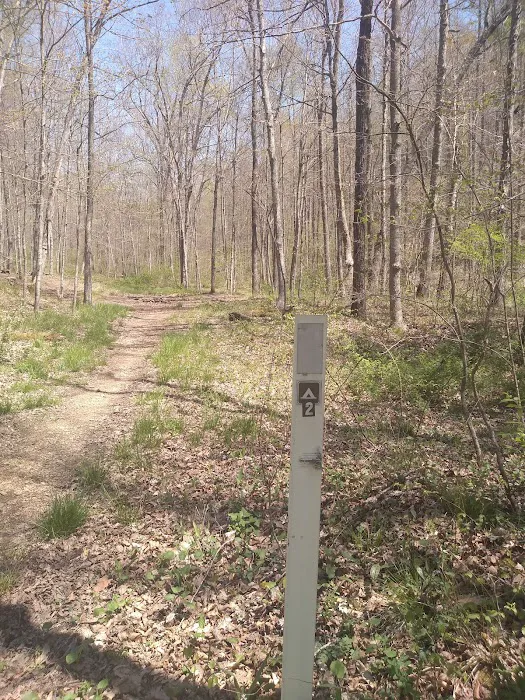 Shawnee Backpacking Camp 2 Picture 4