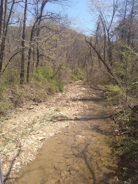 Shawnee Backpacking Camp 2 Picture 7