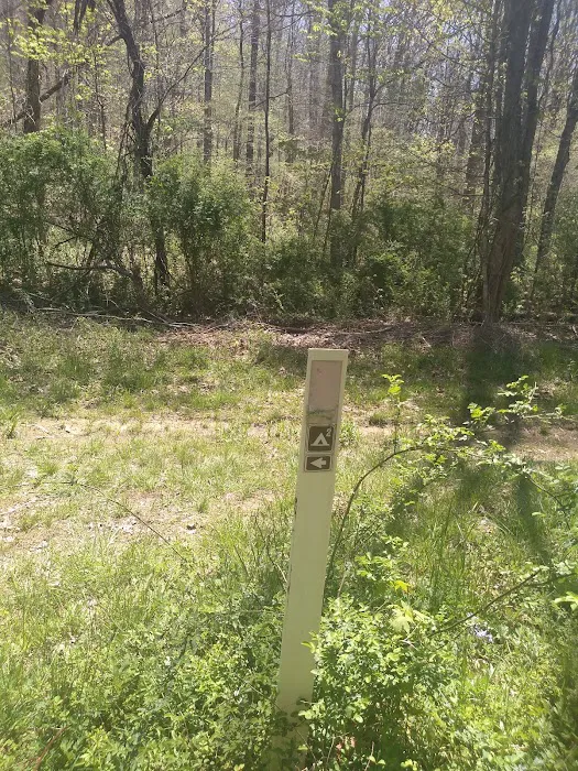 Shawnee Backpacking Camp 2 Picture 6