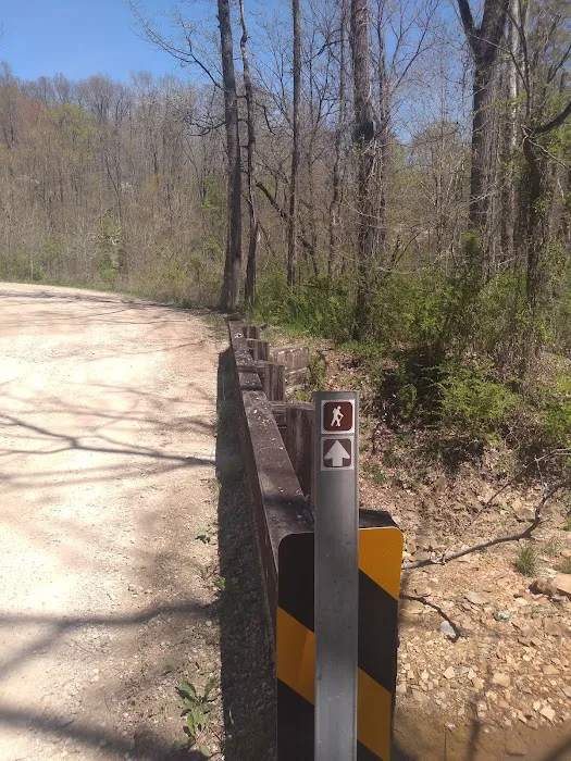 Shawnee Backpacking Camp 2 Picture 1