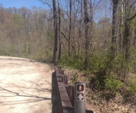 Shawnee Backpacking Camp 2