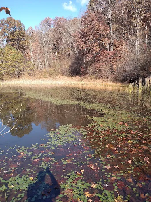 Shawnee Backpacking Camp 2 Picture 9