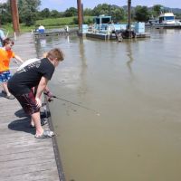 Shawnee State Park Ohio River Campground & Marina ico