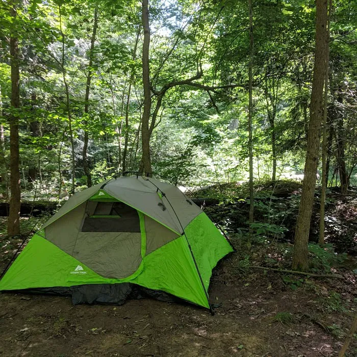 Shawnee Backpacking Camp 1 Picture 5