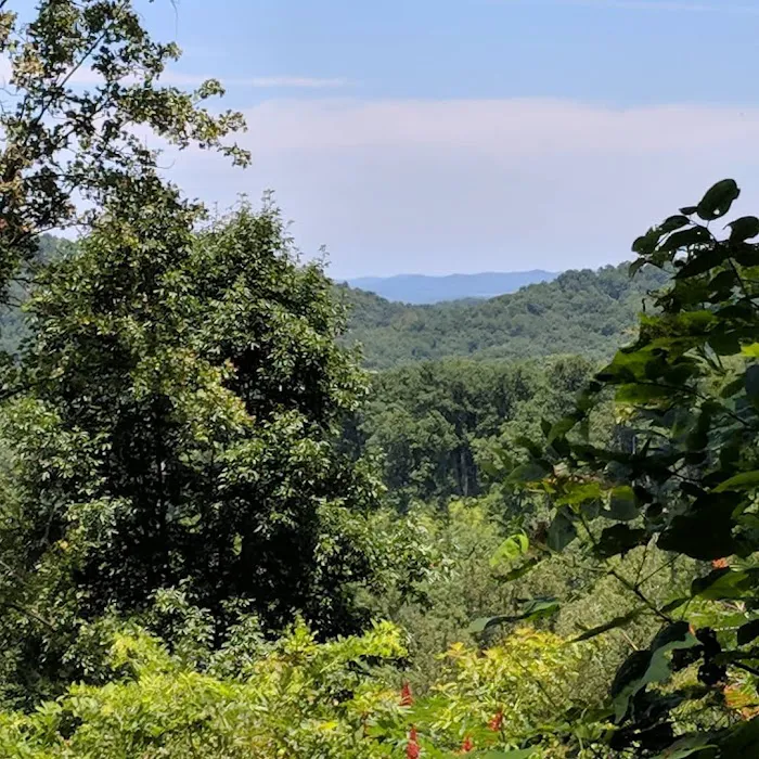 Shawnee Backpacking Camp 1 Picture 10