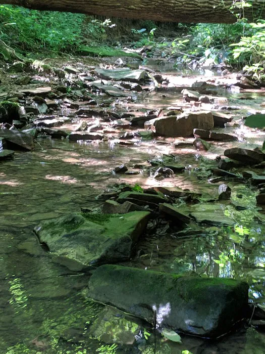 Shawnee Backpacking Camp 1 Picture 6