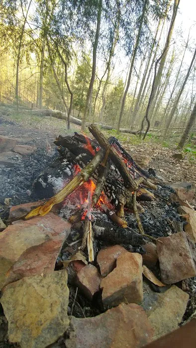 Shawnee Backpacking Camp 1 Picture 3