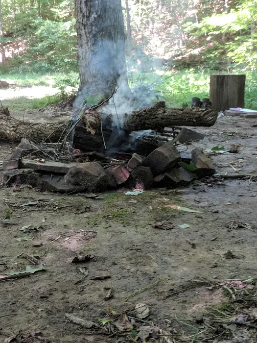 Shawnee Backpacking Camp 1 Picture 4