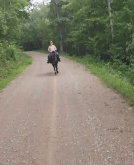 Shawnee State Forest Horse Campground Picture 3