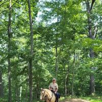 Shawnee State Forest Horse Campground ico