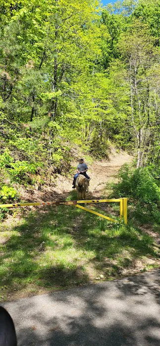 Shawnee State Forest Horse Campground Picture 2