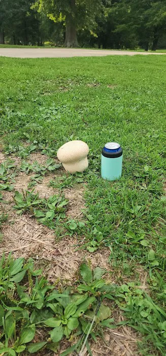 Shawnee State Park Campground Picture 4