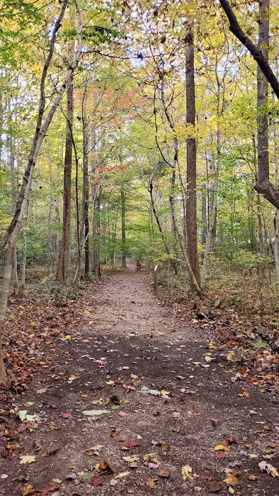 Shawnee State Park Campground Picture 10
