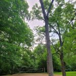Shawnee State Park Campground