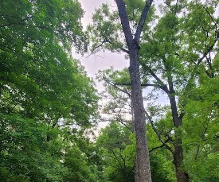 Shawnee State Park Campground