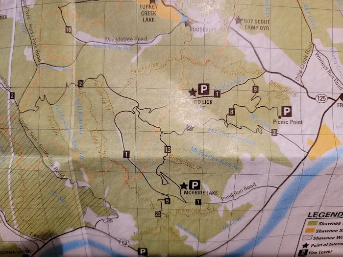 Shawnee State Park Campground Picture 9