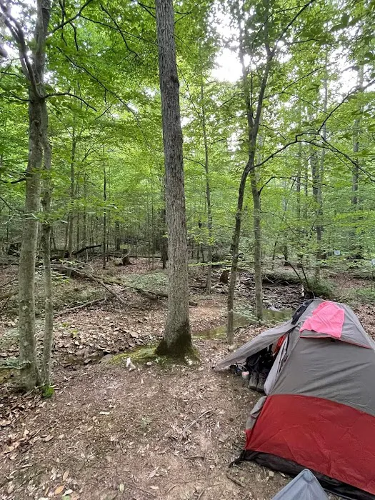 Shawnee Forest Backpacking Trail Camp 4 Picture 2
