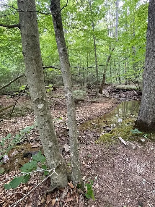 Shawnee Forest Backpacking Trail Camp 4 Picture 1