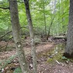 Shawnee Forest Backpacking Trail Camp 4