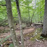 Shawnee Forest Backpacking Trail Camp 4 ico
