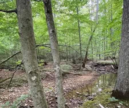 Shawnee Forest Backpacking Trail Camp 4