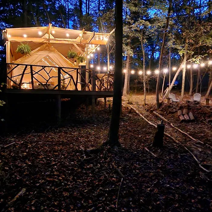 The Lookout at Bim's Holler Picture 4