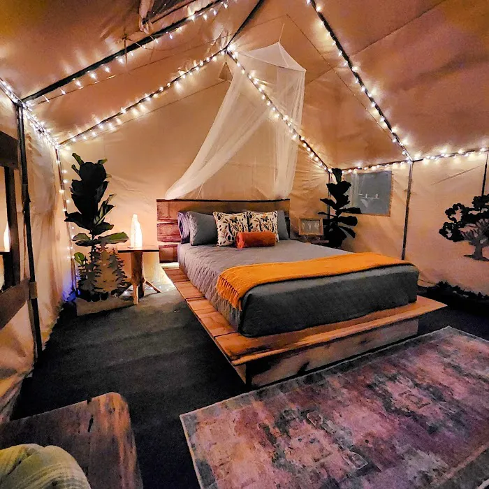 The Lookout at Bim's Holler Picture 3