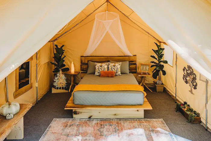 The Lookout at Bim's Holler Picture 1