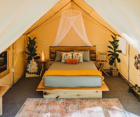 The Lookout at Bim's Holler