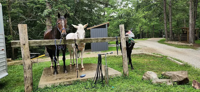 Palmerosa Horse & Hike Campground Picture 1