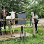 Palmerosa Horse & Hike Campground